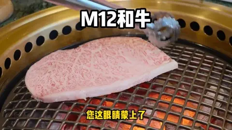 M12和牛