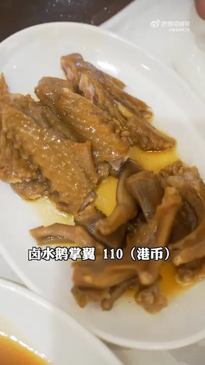 卤水鹅掌翼