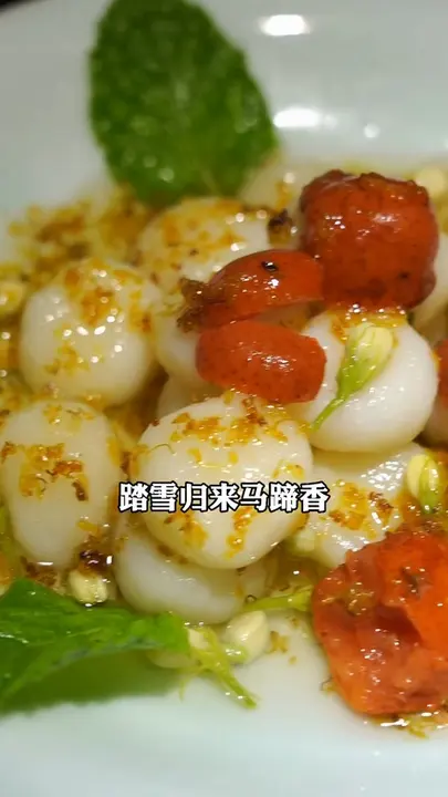 踏雪归来马蹄香