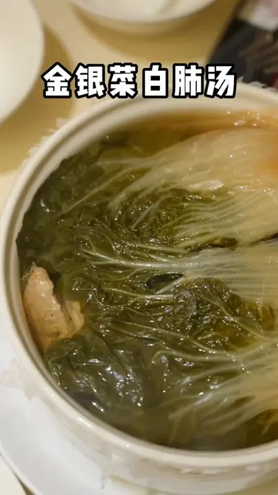 金银菜白肺汤
