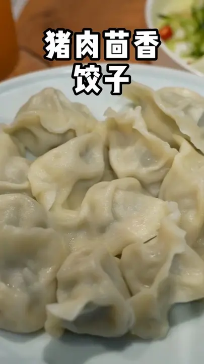 猪肉茴香饺子