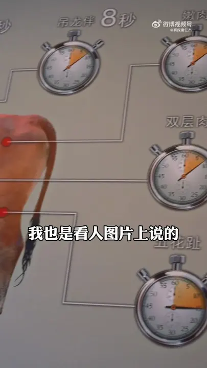 吊龙