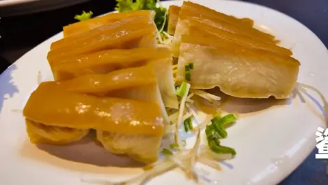 鲨鱼脣